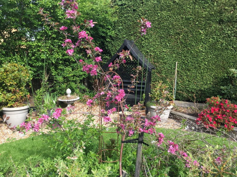 The Nutrition Garden